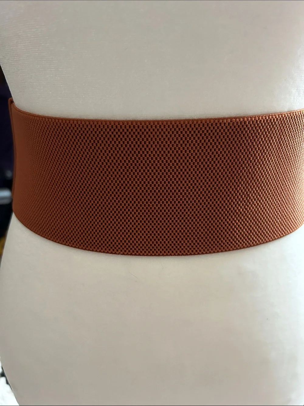 Source Unknown Tan Braided Stretch Waist Belt with Gold Clasp